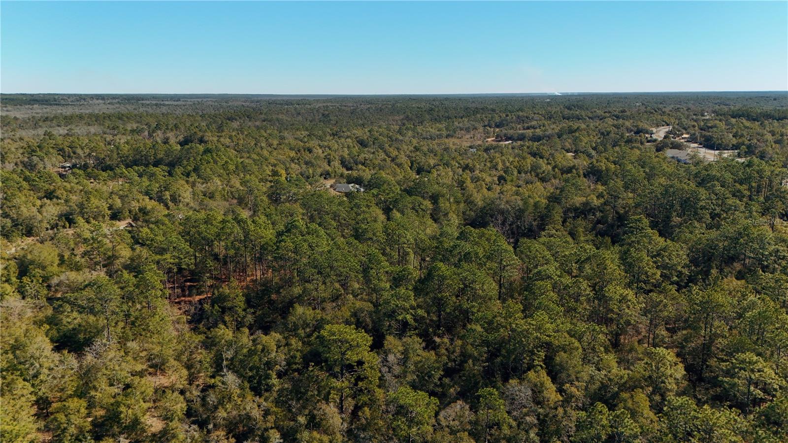 Image 21 of 26 For 00 Lark Court