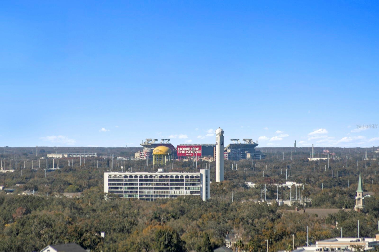 Listing photo id 45 for 3101 Bayshore Boulevard 1804