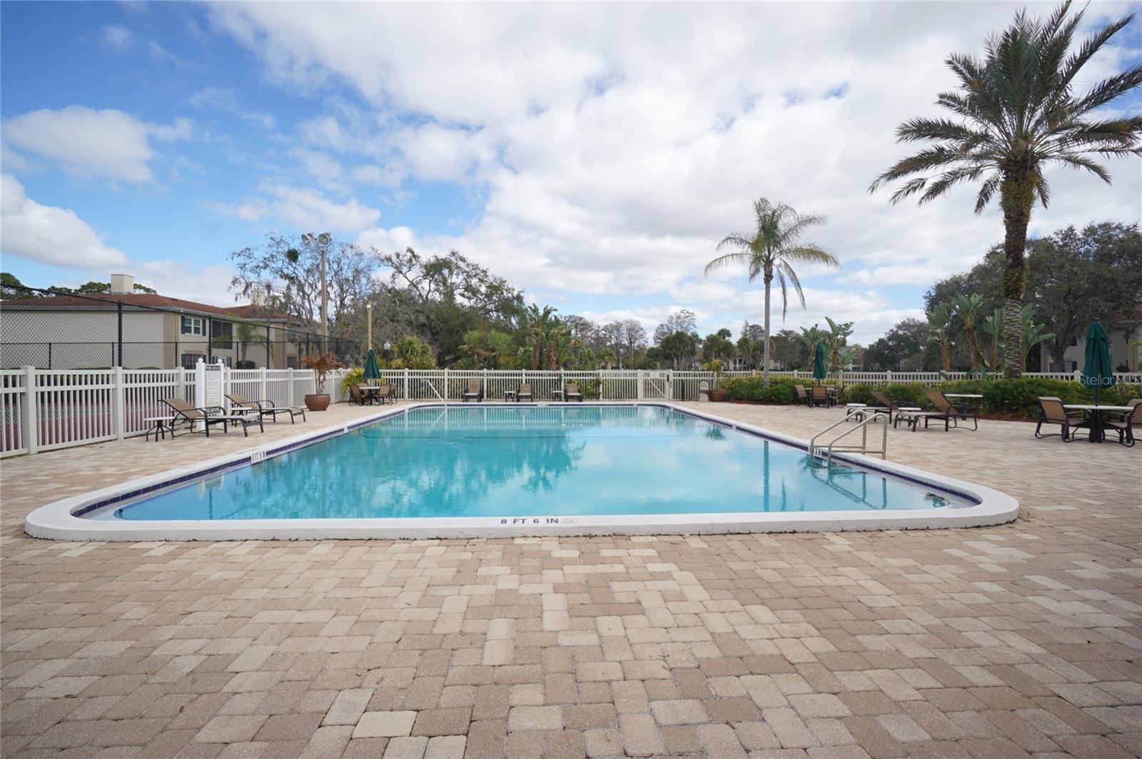 Image 24 of 26 For 10330 Carrollwood Lane 94