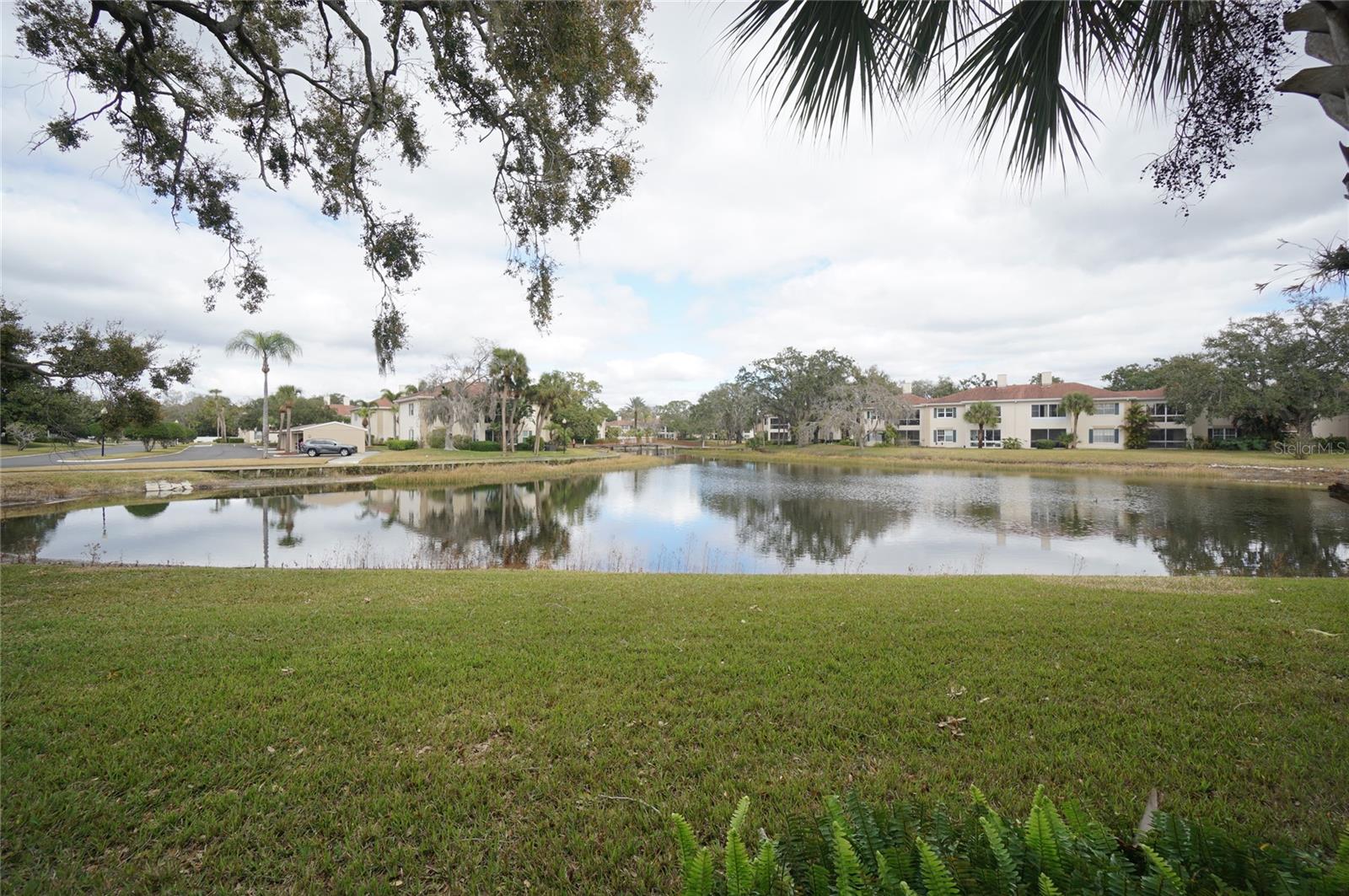 Image 25 of 26 For 10330 Carrollwood Lane 94