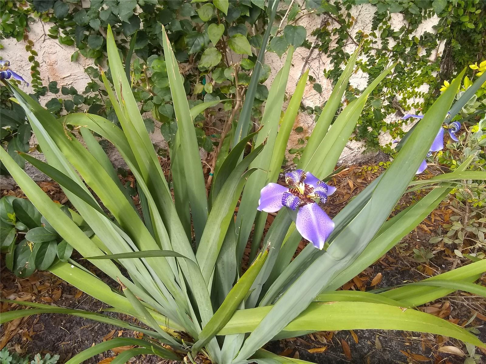 Image 48 of 54 For 13812 Mill Cove Circle 13812