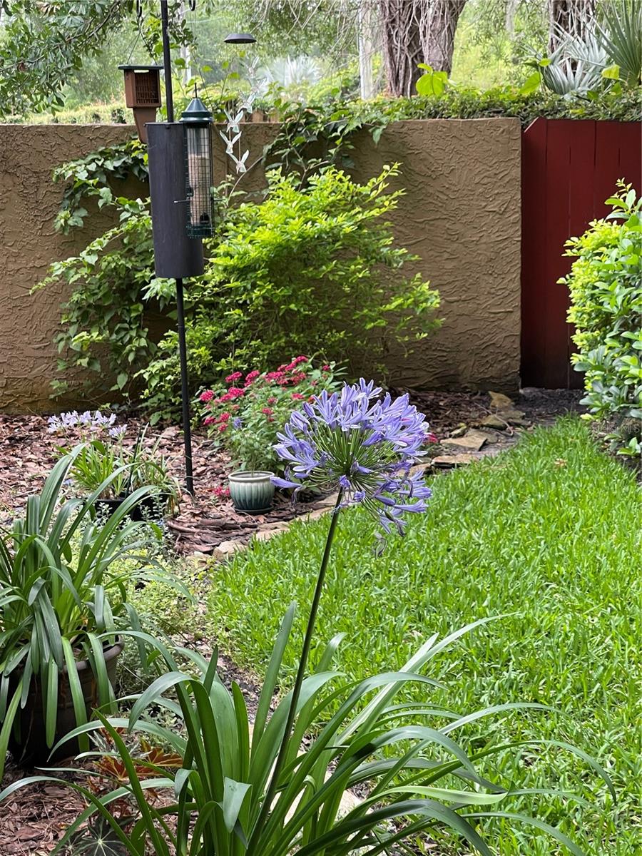 Image 50 of 54 For 13812 Mill Cove Circle 13812