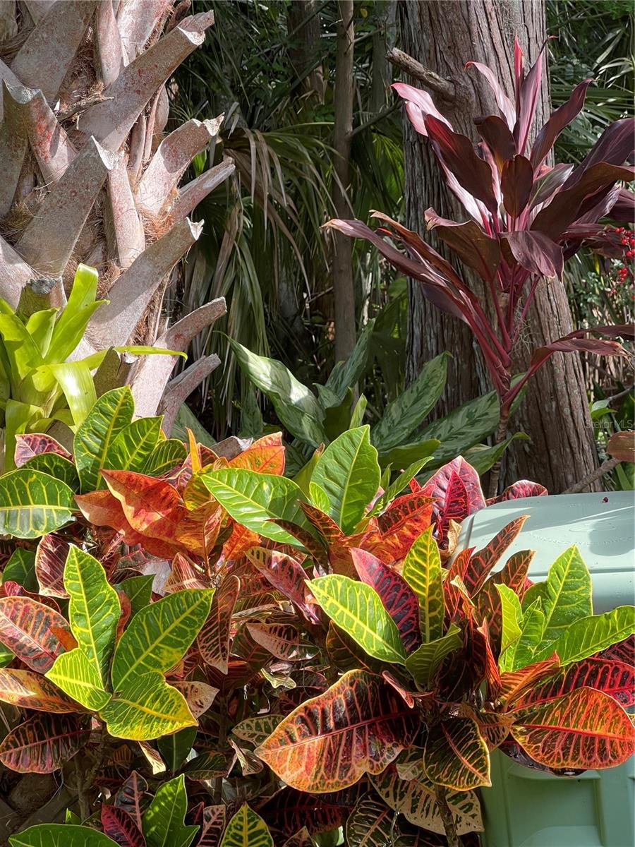 Image 51 of 54 For 13812 Mill Cove Circle 13812