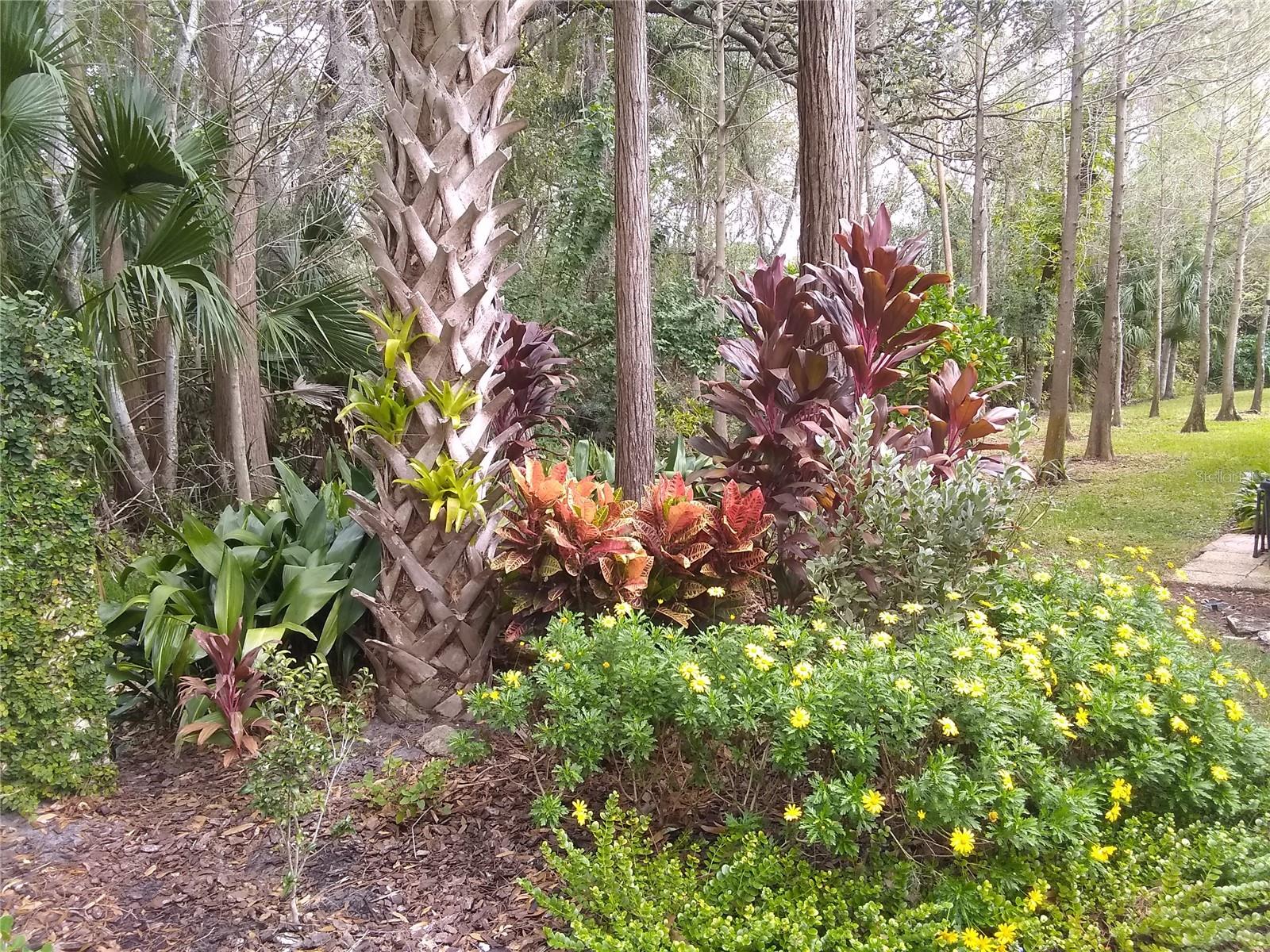 Image 52 of 54 For 13812 Mill Cove Circle 13812