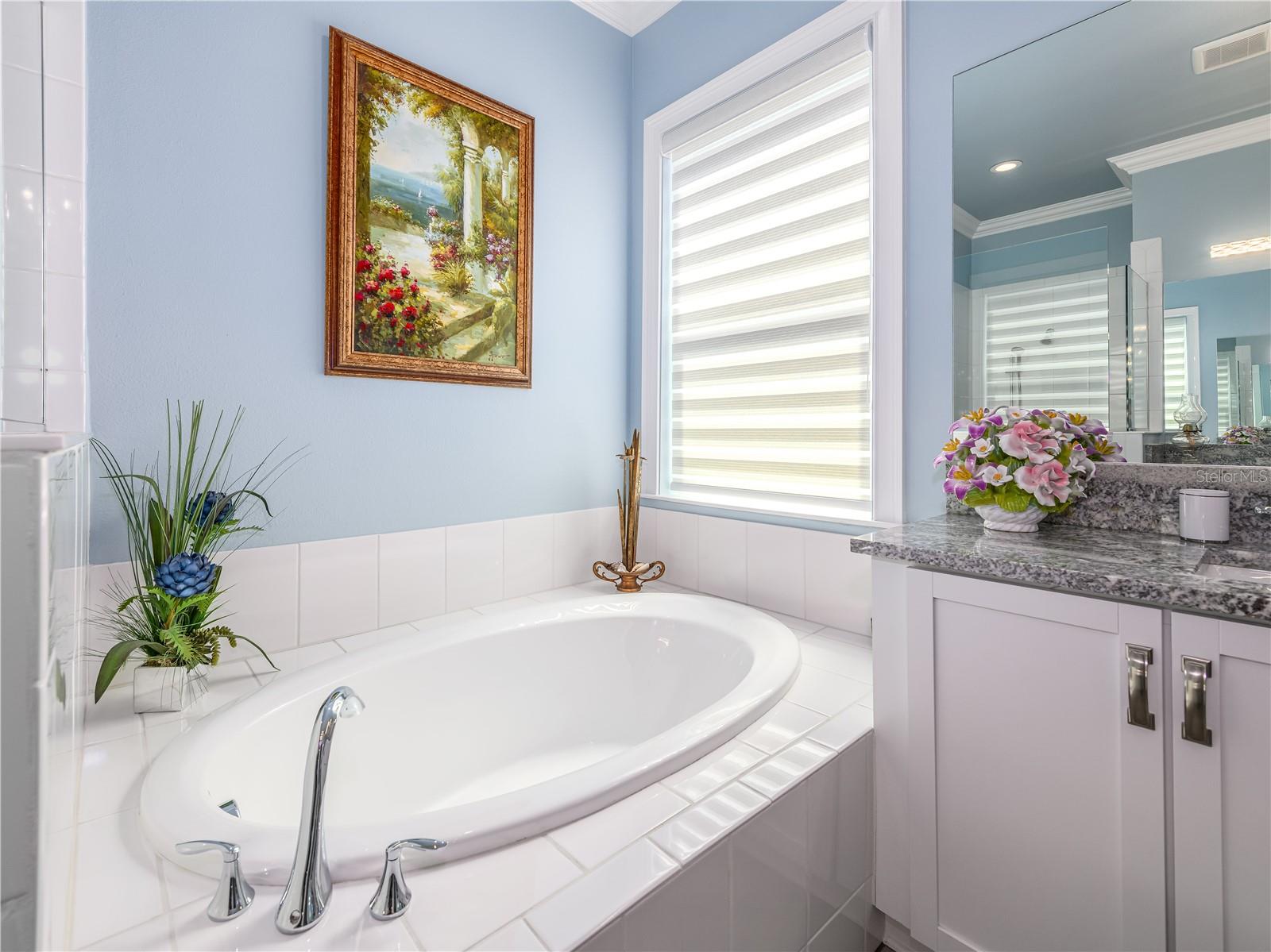 Image 40 of 80 For 15303 Valencia Del Sol Street