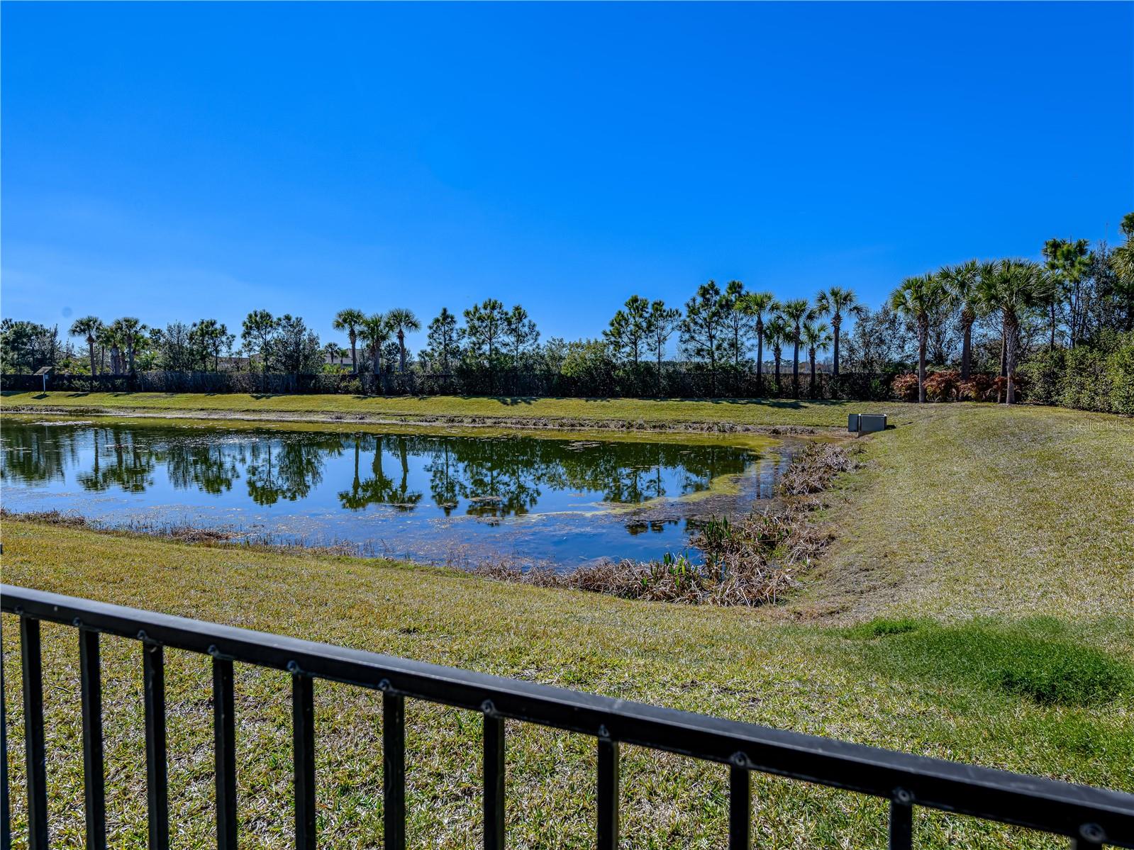 Image 62 of 80 For 15303 Valencia Del Sol Street