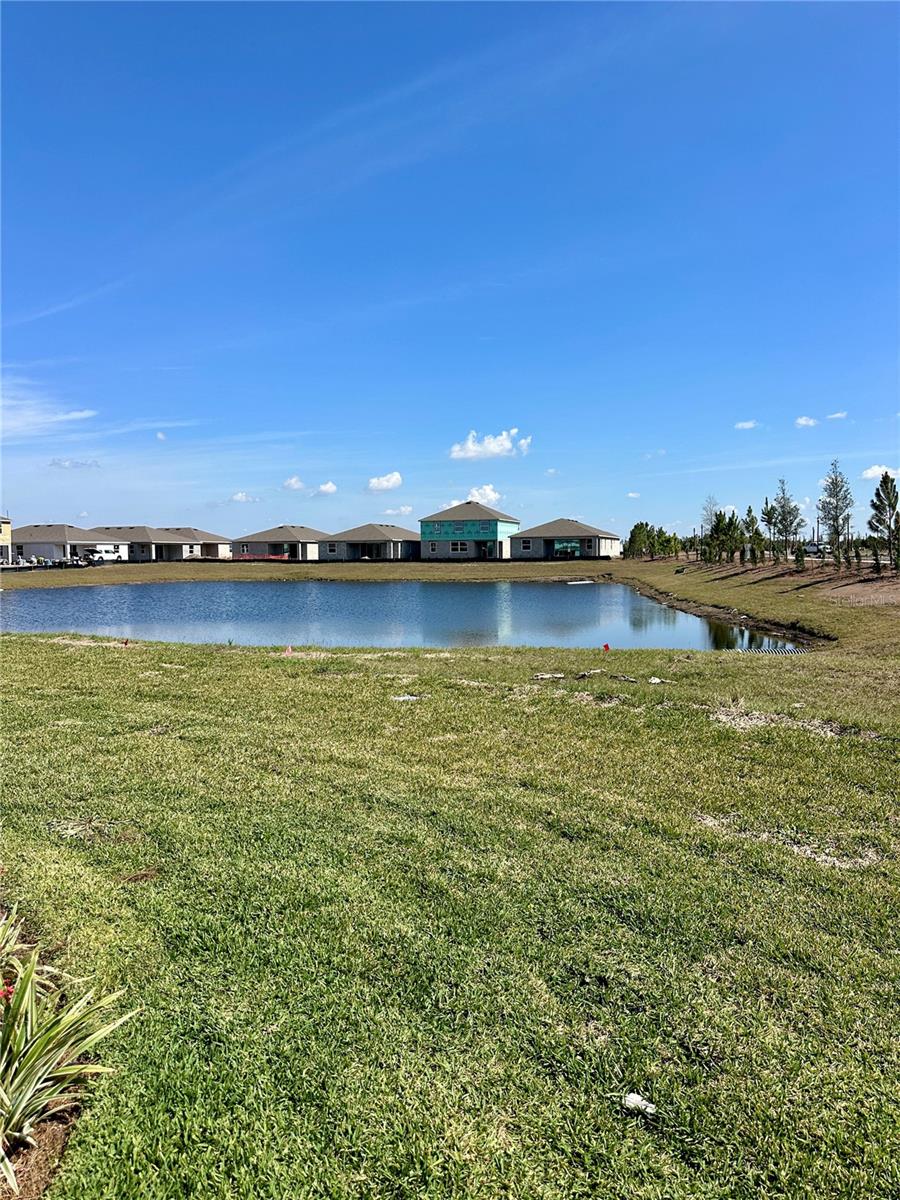 Image 16 of 19 For 17807 Cane Patch Court