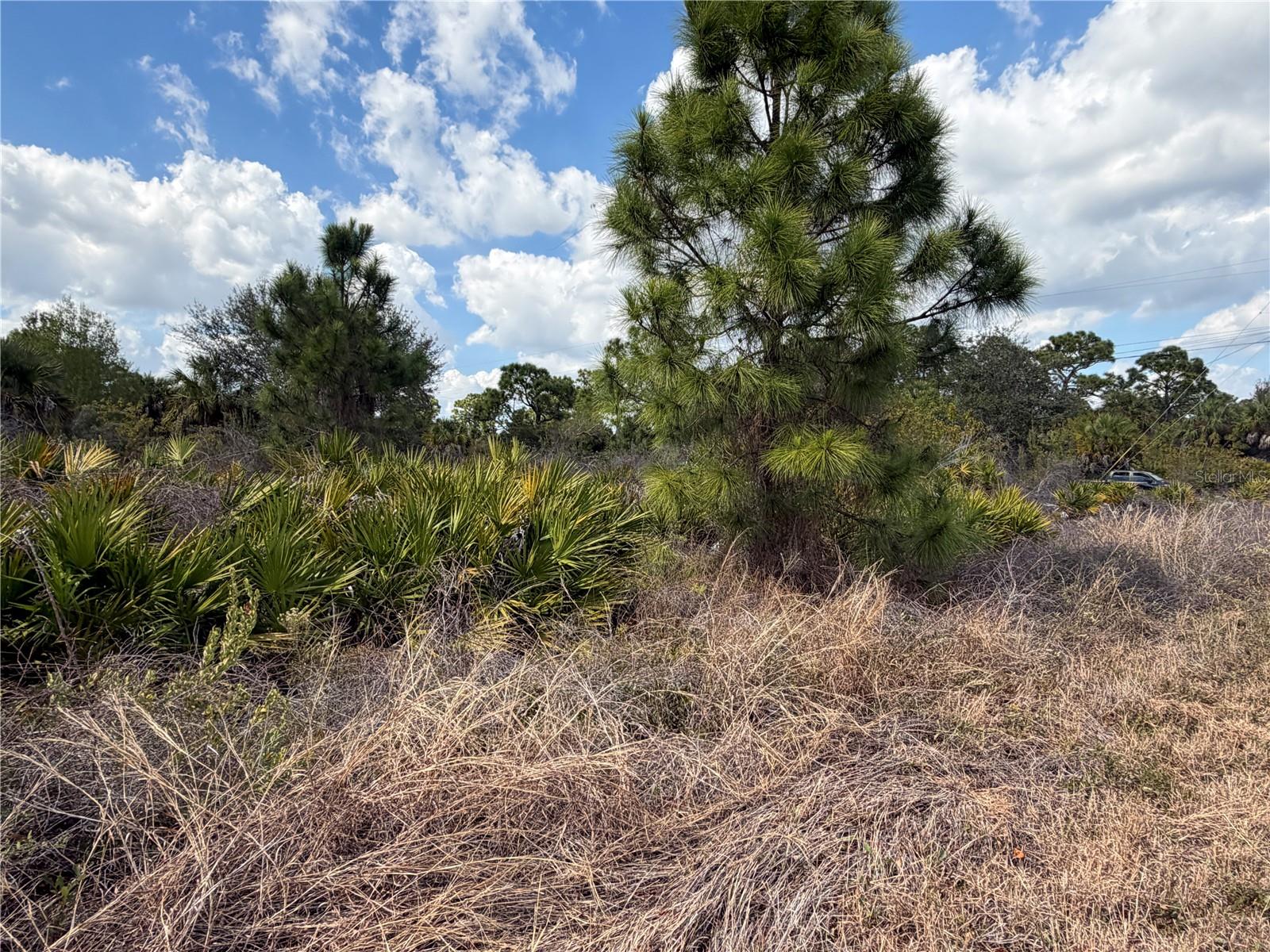 Image 4 of 5 For 524 Columbus Boulevard S