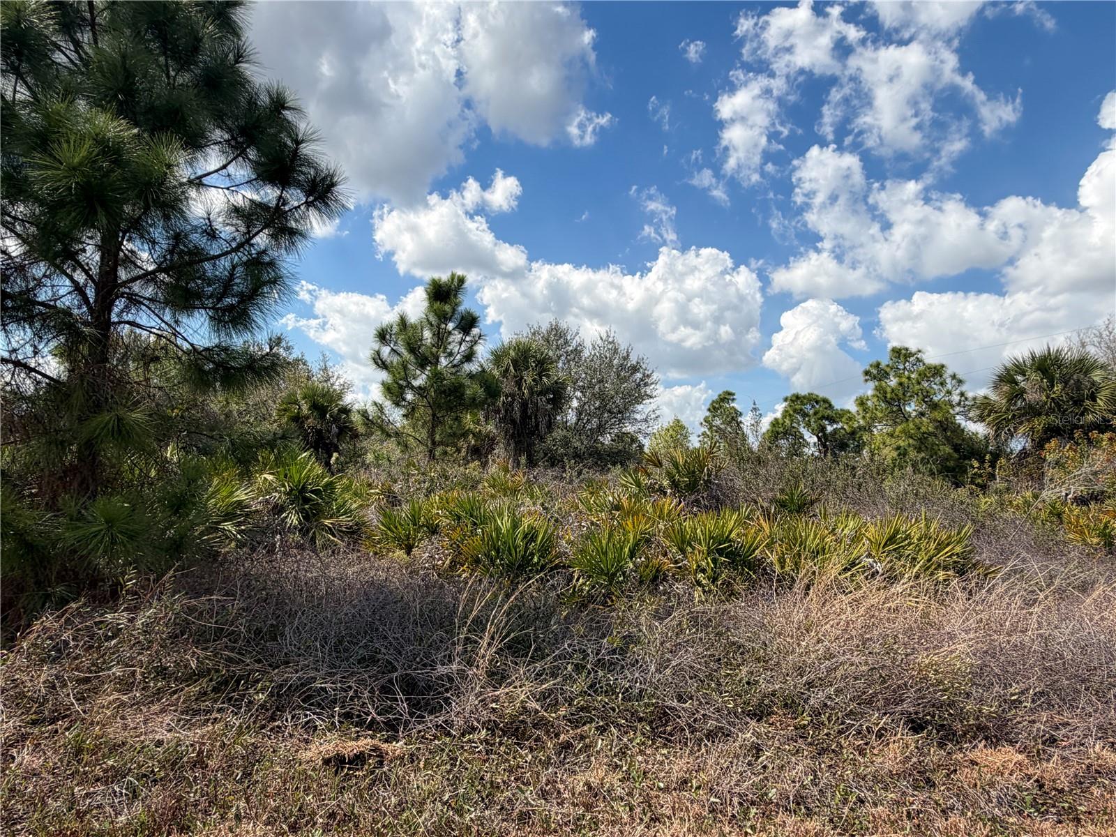 Image 5 of 5 For 524 Columbus Boulevard S