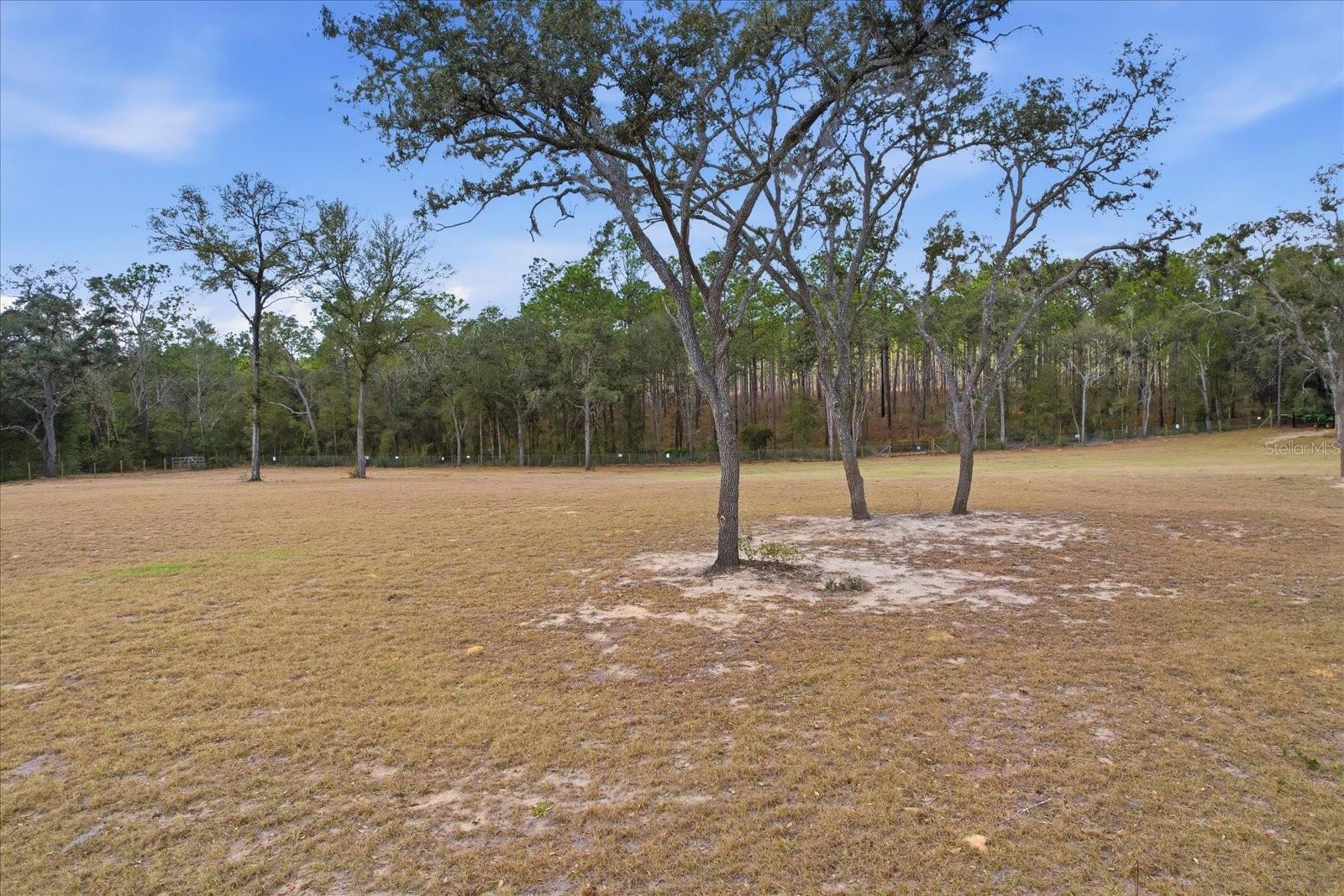 Image 8 of 11 For 2720 Fawn Court