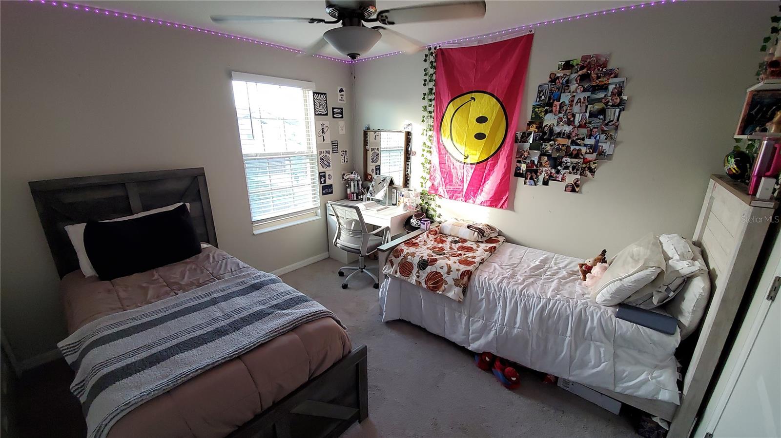 Listing photo id 10 for 4410 Summer Savory Street