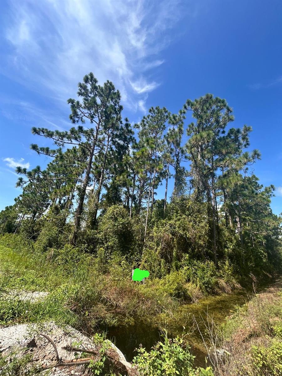 Image 2 of 4 For 966 Challenger Street Nw