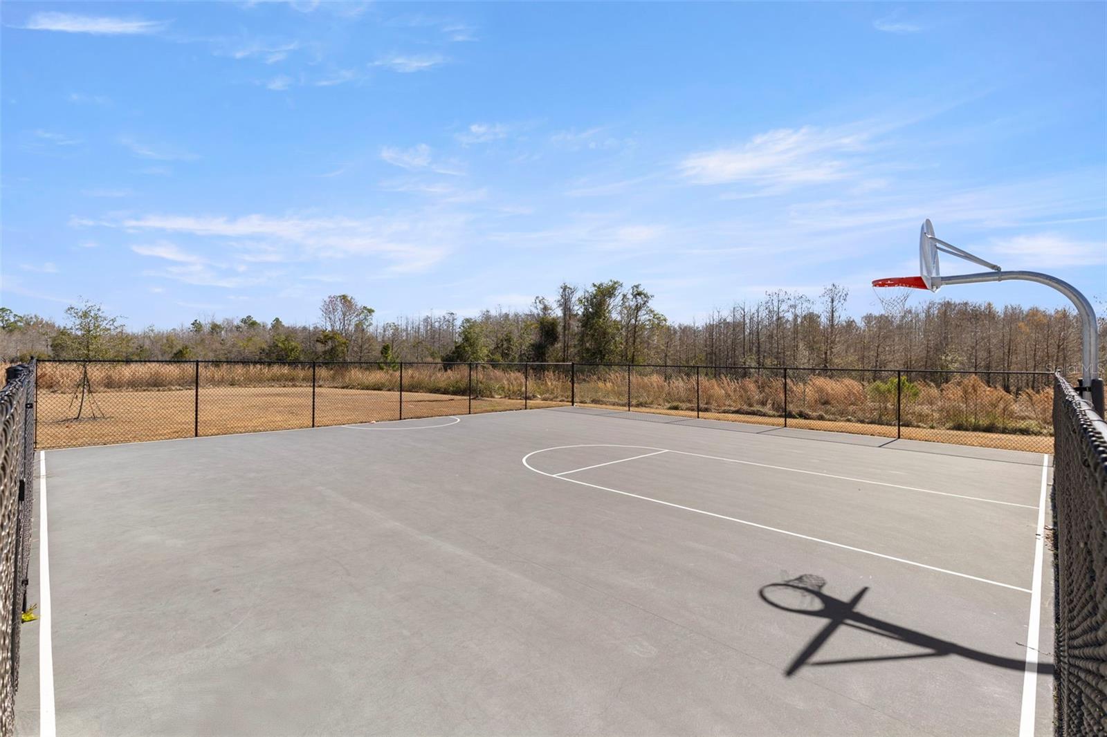 Image 31 of 35 For 17205 Bigleaf Mahogany Lane