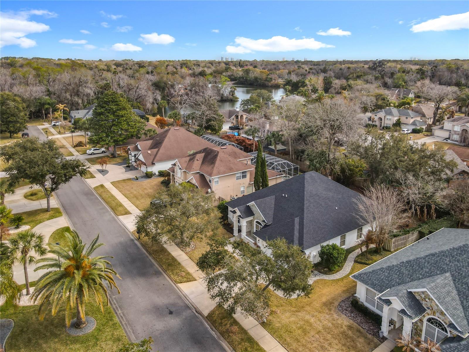 Image 4 of 69 For 6 Lionshead Drive