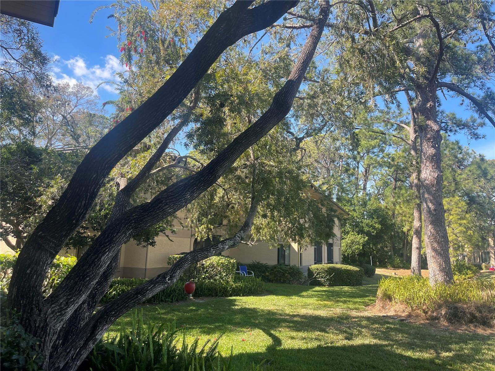 Image 39 of 48 For 2685 Sabal Springs Circle 102