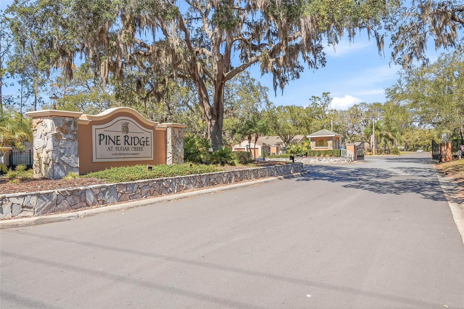 Listing photo id 42 for 12351 Ridgedale Drive