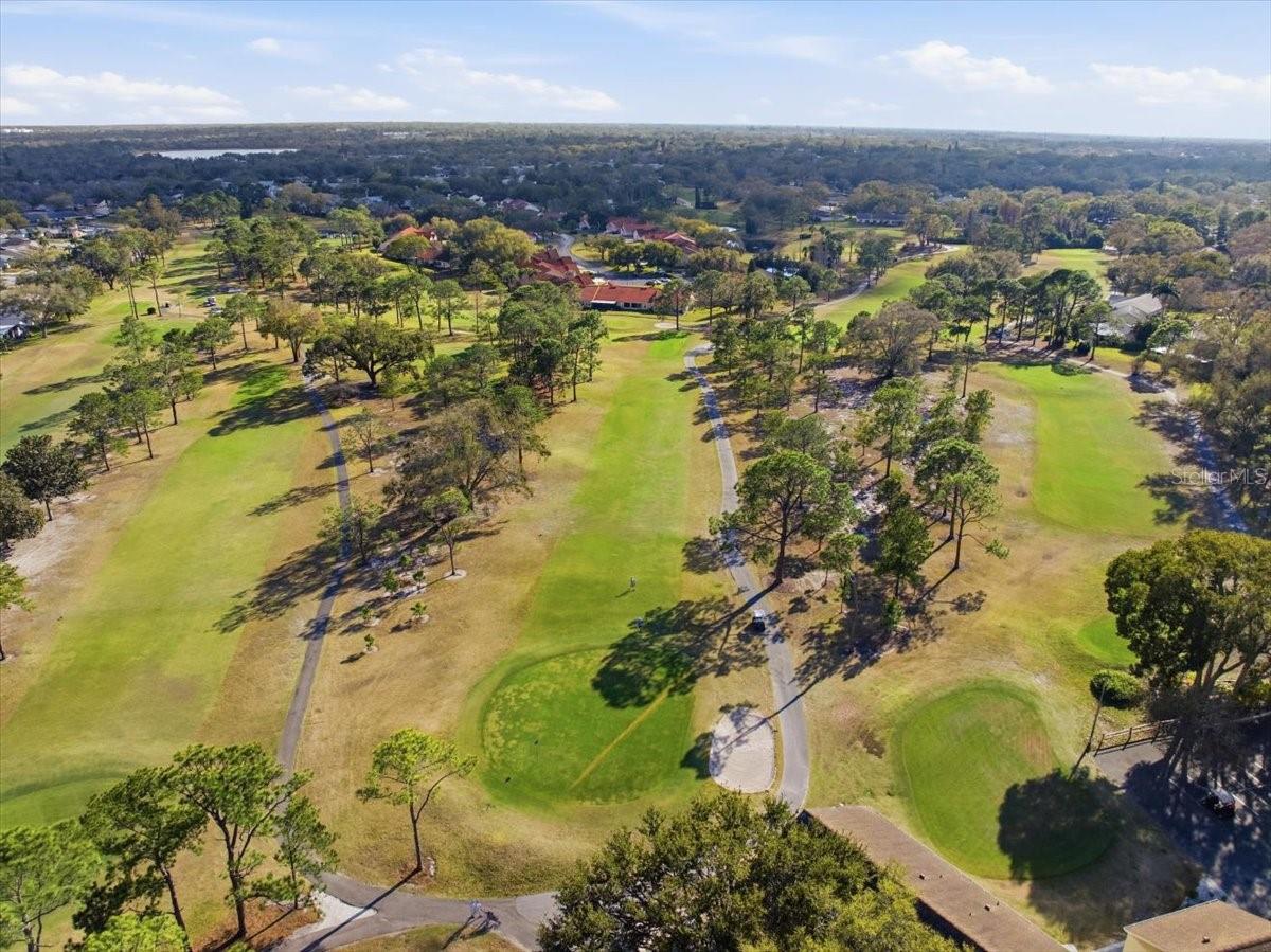 Image 43 of 54 For 2954 Curling Court