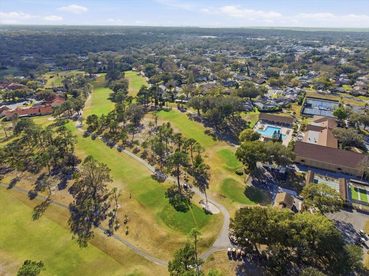 Image 44 of 54 For 2954 Curling Court