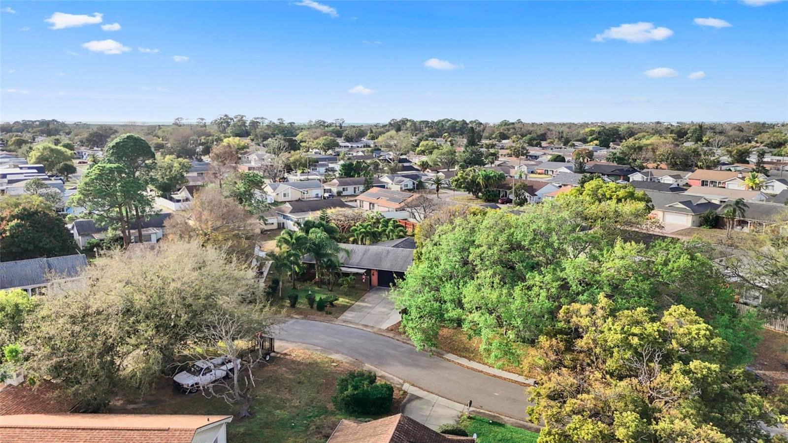 Image 9 of 43 For 3849 Edgemont Drive