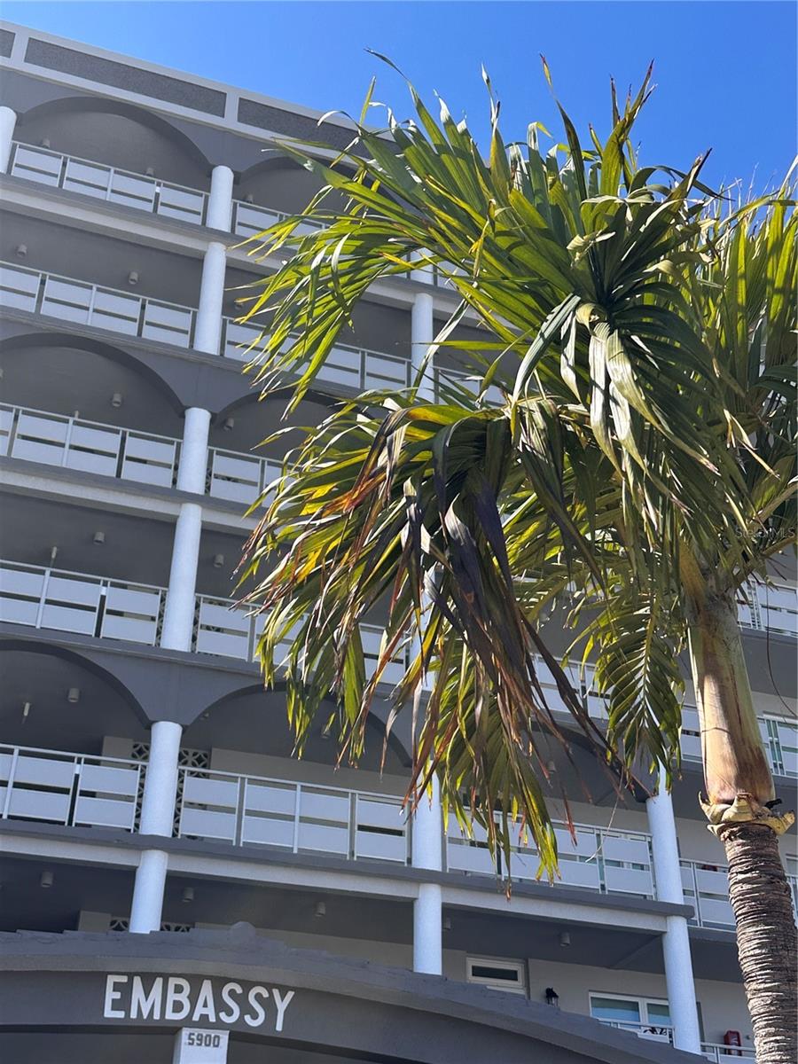 Image 2 of 32 For 5900 Shore Boulevard S 504