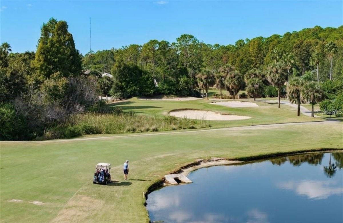 Image 53 of 54 For 10510 Chelmsford Way