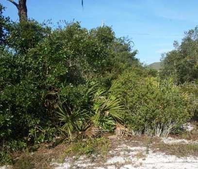 Details for 922 Aster Street, LAKE PLACID, FL 33862
