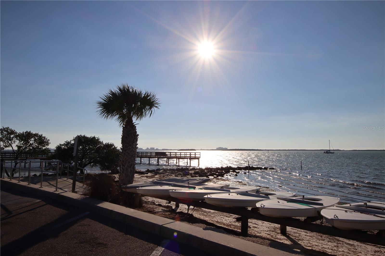 Image 11 of 20 For 220 Lyndhurst Street