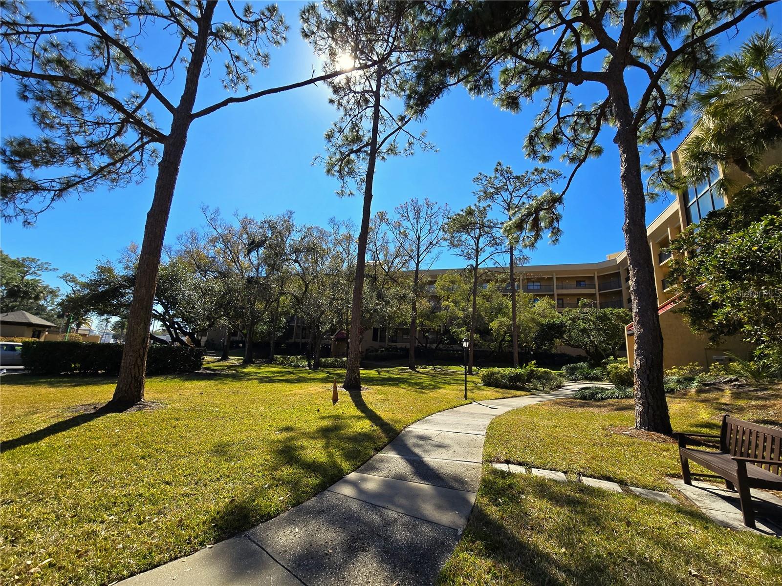 Details for 3078 Eastland Boulevard 411, CLEARWATER, FL 33761