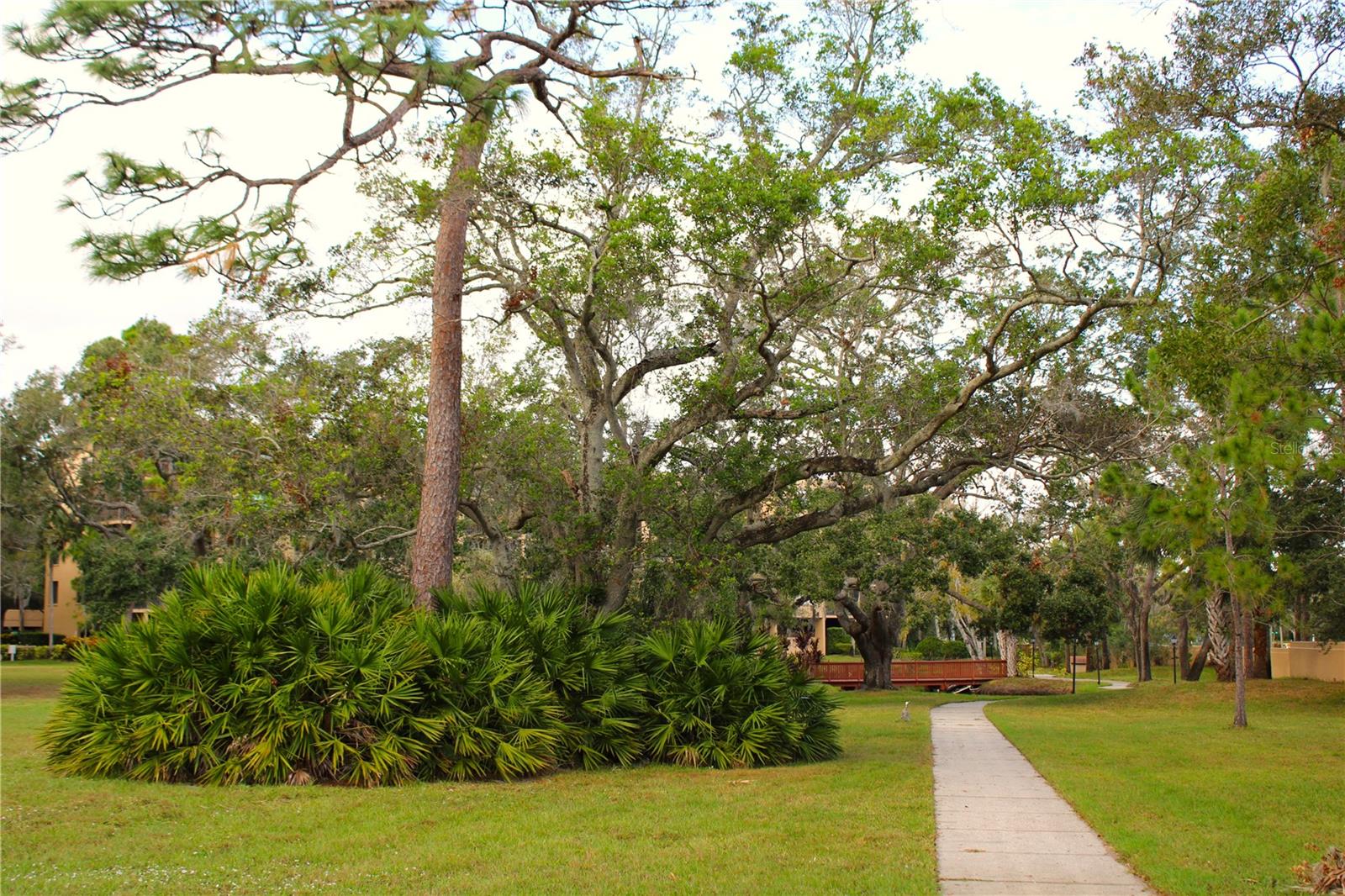 Image 38 of 59 For 3078 Eastland Boulevard 411