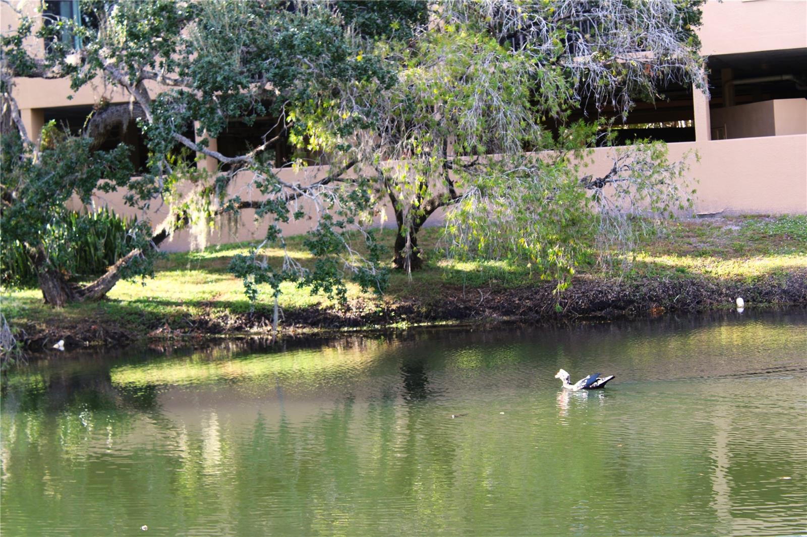 Image 40 of 59 For 3078 Eastland Boulevard 411