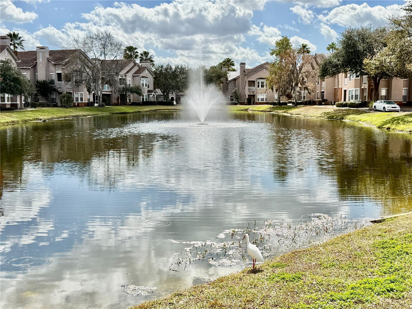 Image 46 of 57 For 18013 Villa Creek Drive