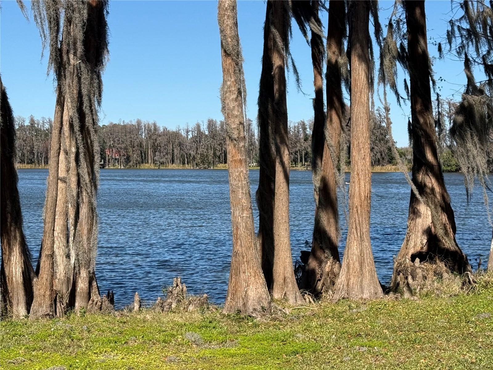 Image 11 of 12 For 20425 Gardenia Drive