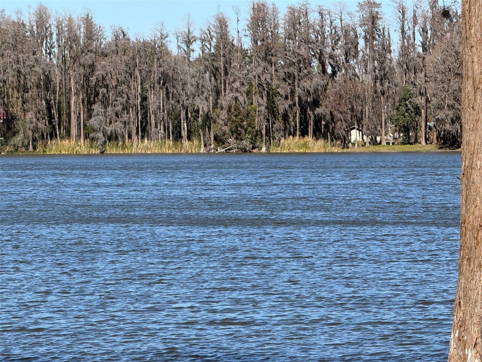 Image 2 of 12 For 20425 Gardenia Drive