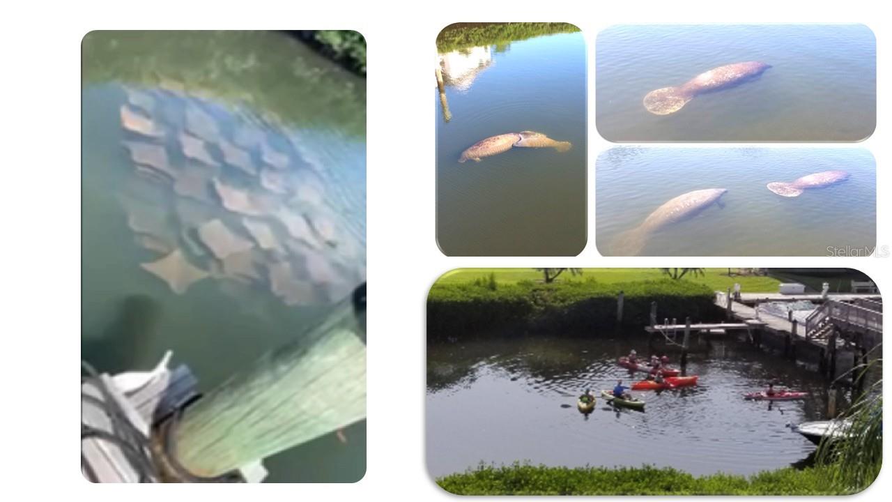 Image 11 of 44 For 1806 Mariner Drive 318