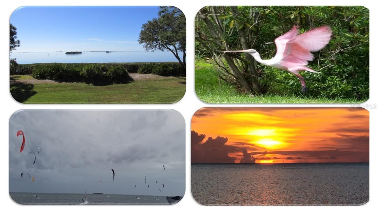 Image 21 of 44 For 1806 Mariner Drive 318