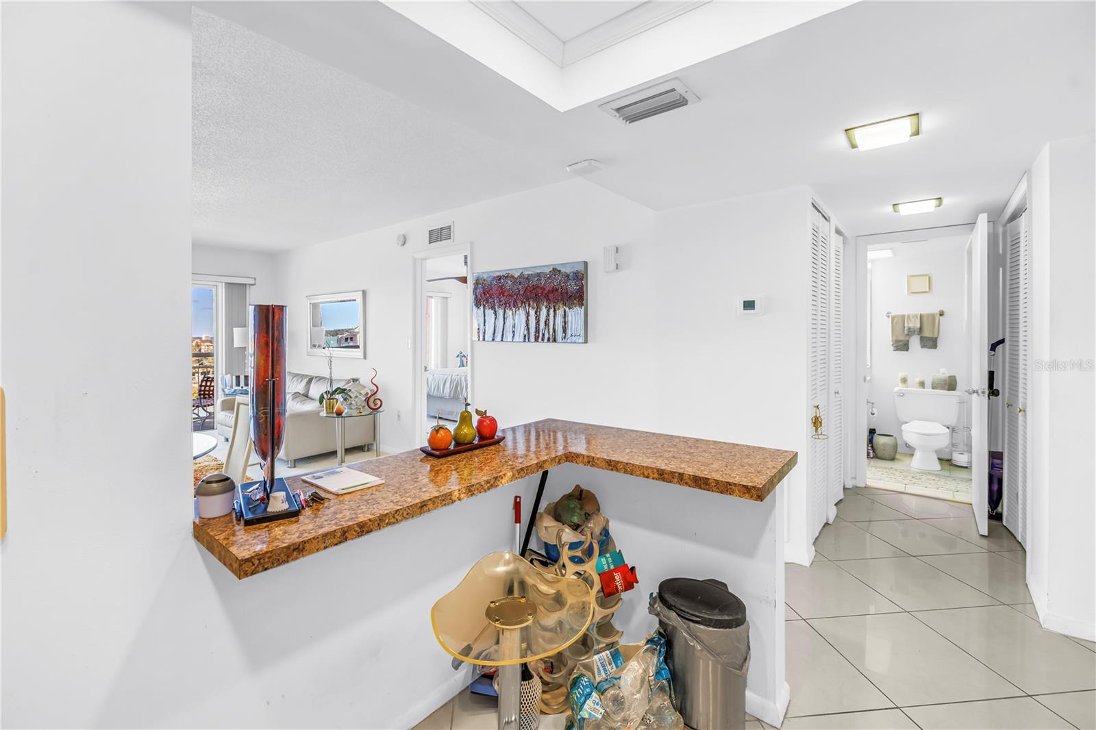 Listing photo id 10 for 4900 Brittany Drive S 1209