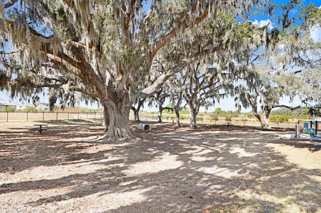 Image 30 of 49 For 10385 Echo Dock Loop