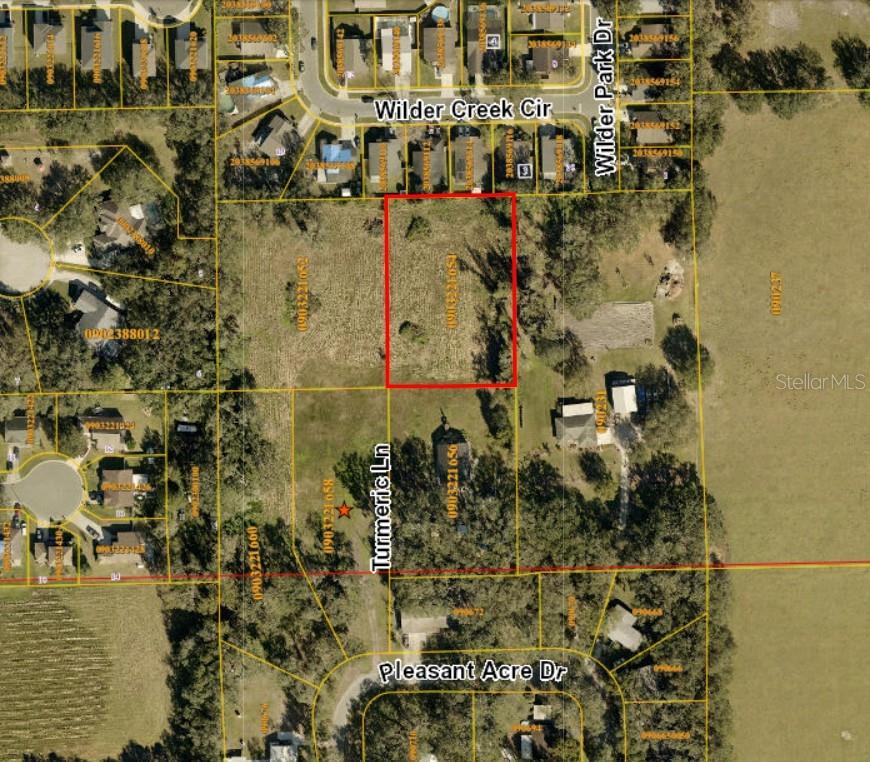 Details for  Turmeric Ln  , PLANT CITY, FL 33566