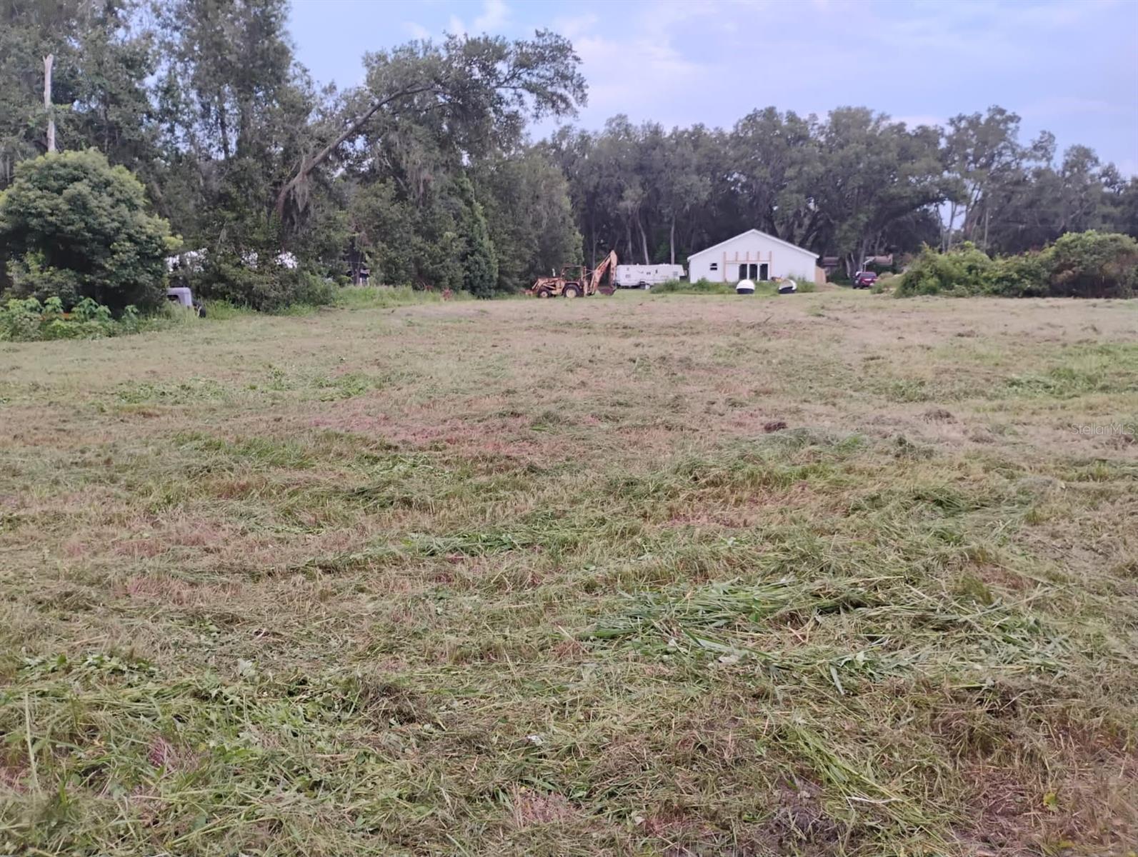 Image 3 of 4 For  Turmeric Ln  