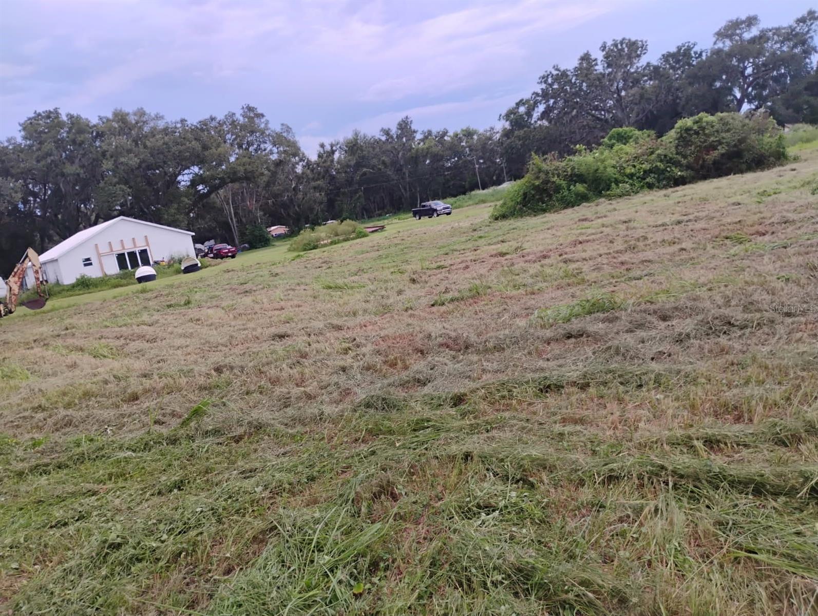 Image 4 of 4 For  Turmeric Ln  