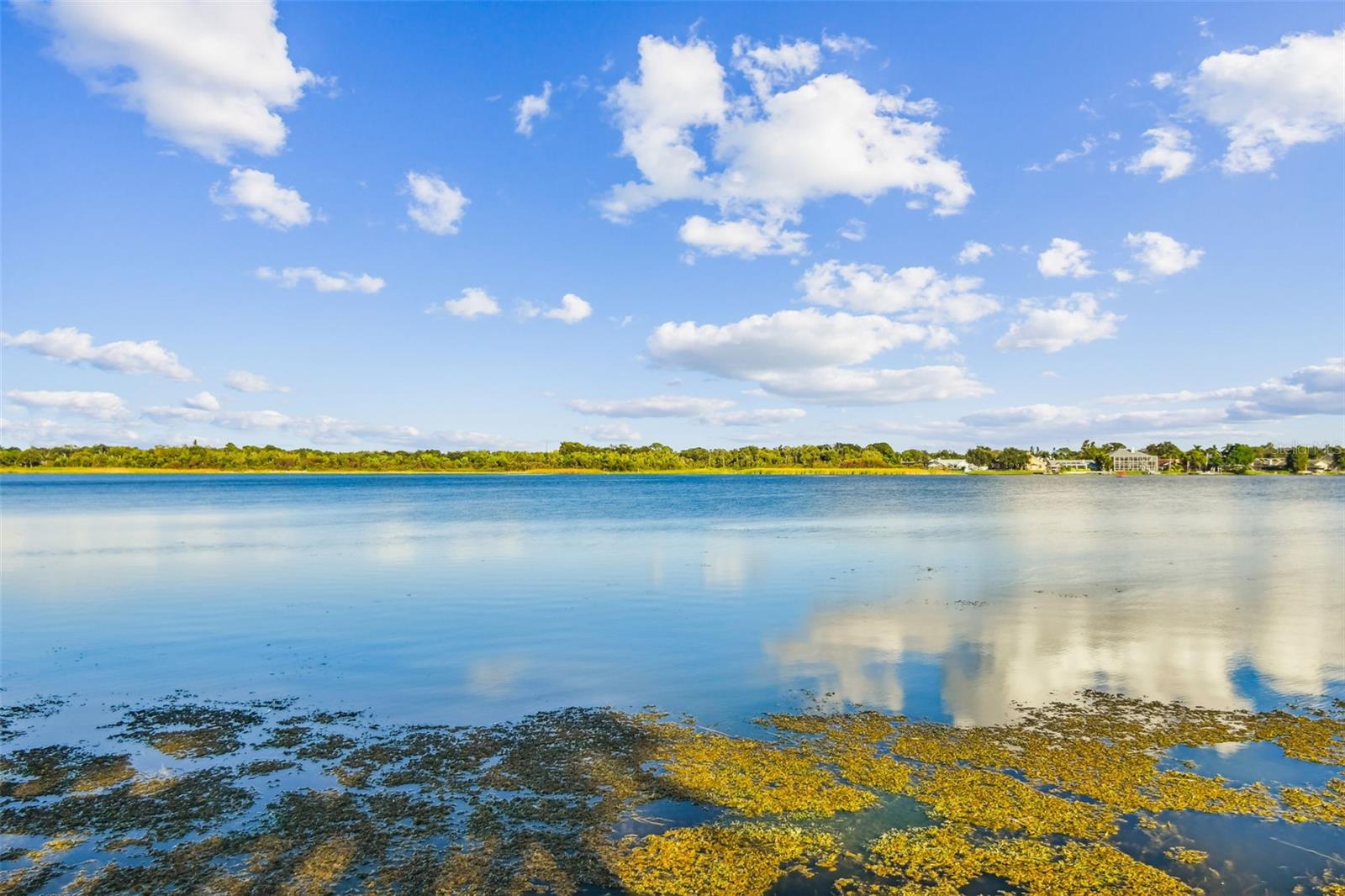 Image 38 of 57 For 10101 Sailwinds Boulevard S 203