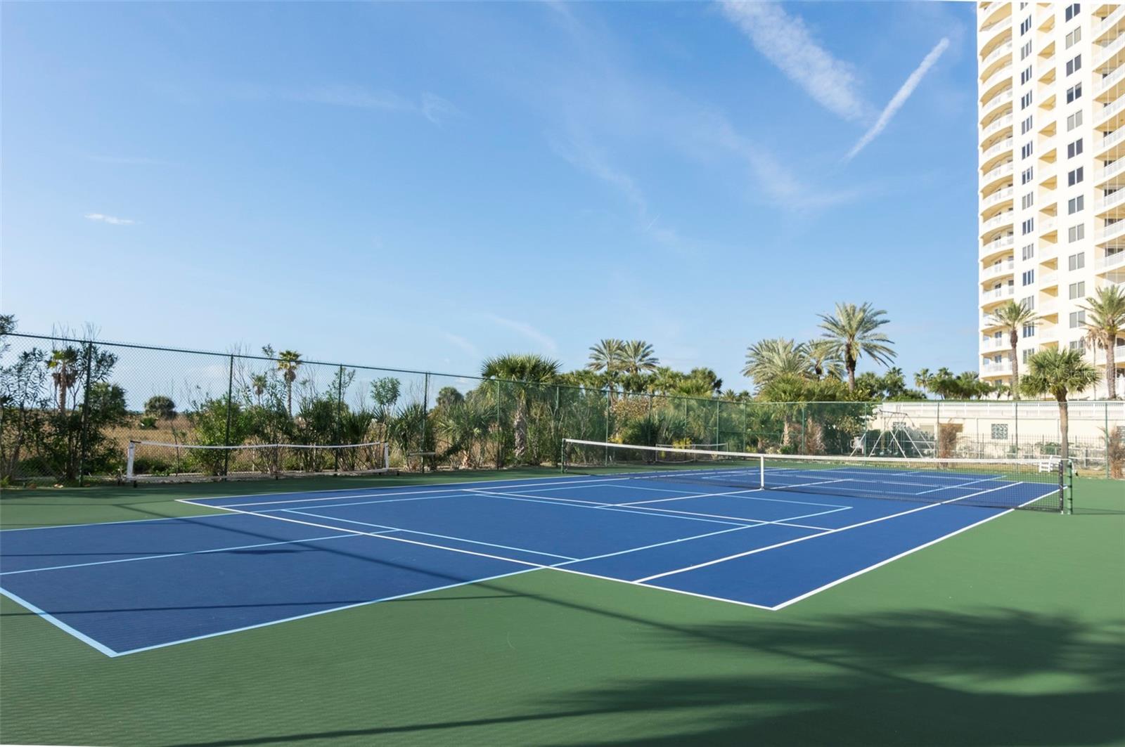 Listing photo id 32 for 1230 Gulf Boulevard 608