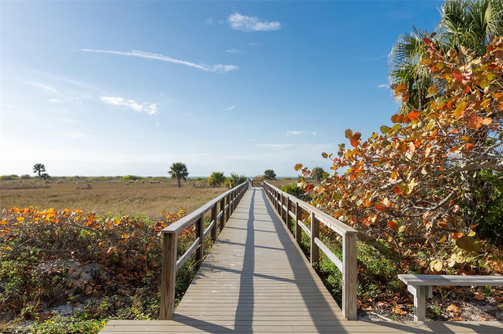 Listing photo id 33 for 1230 Gulf Boulevard 608