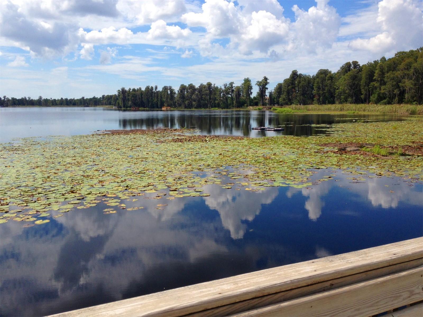 Image 70 of 82 For 11654 Castine Street