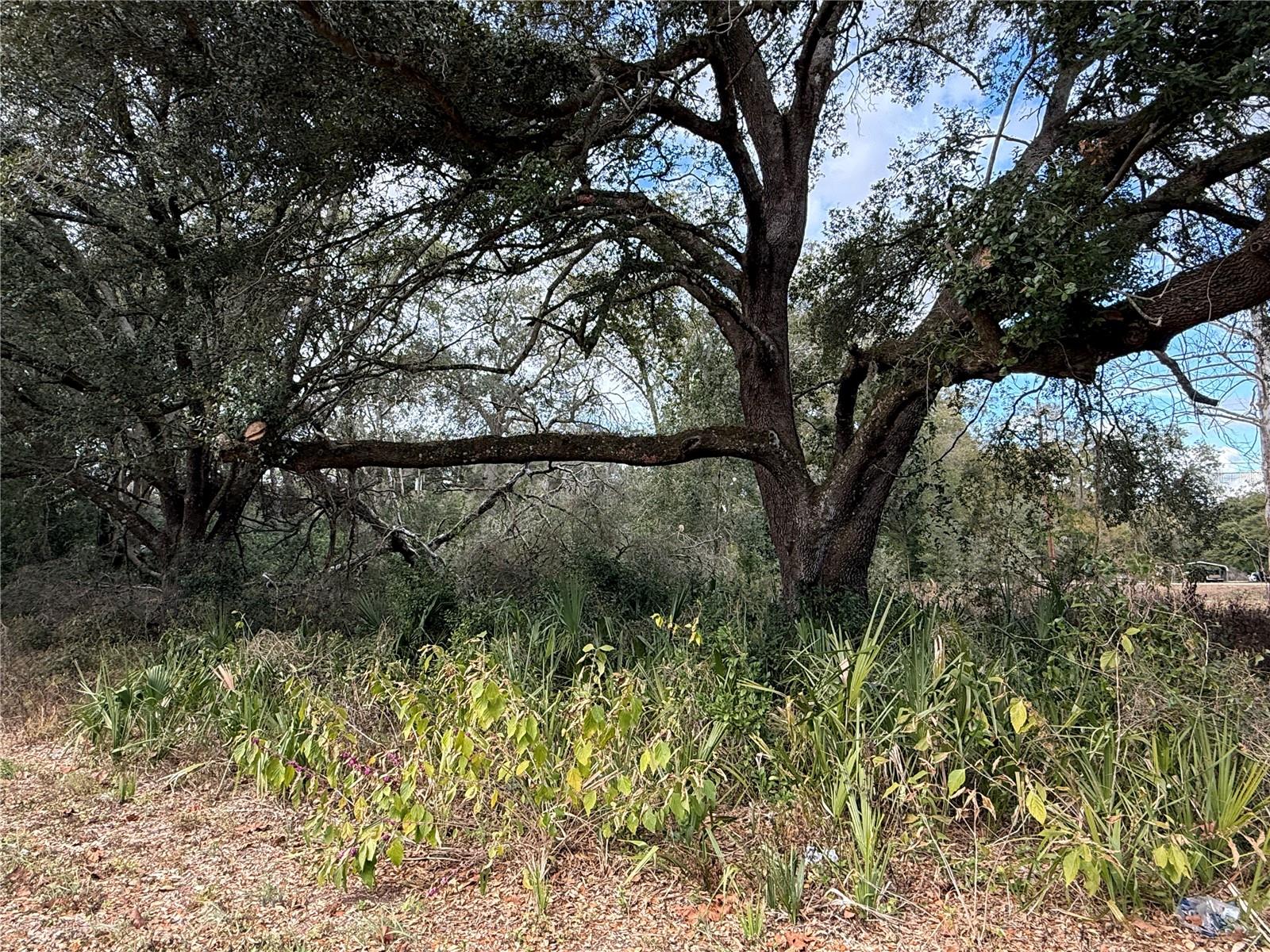 Image 2 of 6 For 0 Hilda Rd  