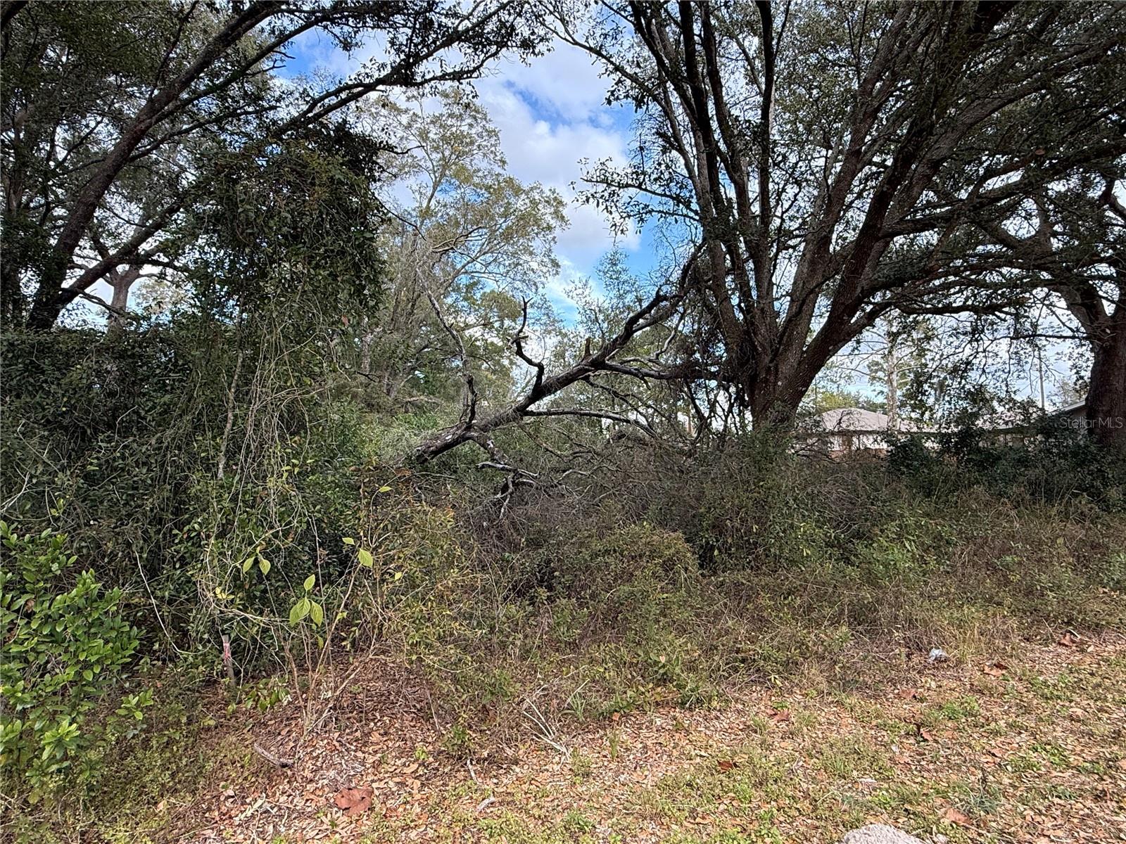 Image 3 of 6 For 0 Hilda Rd  