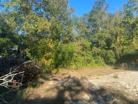 Image 23 of 23 For 684 Murphy Place