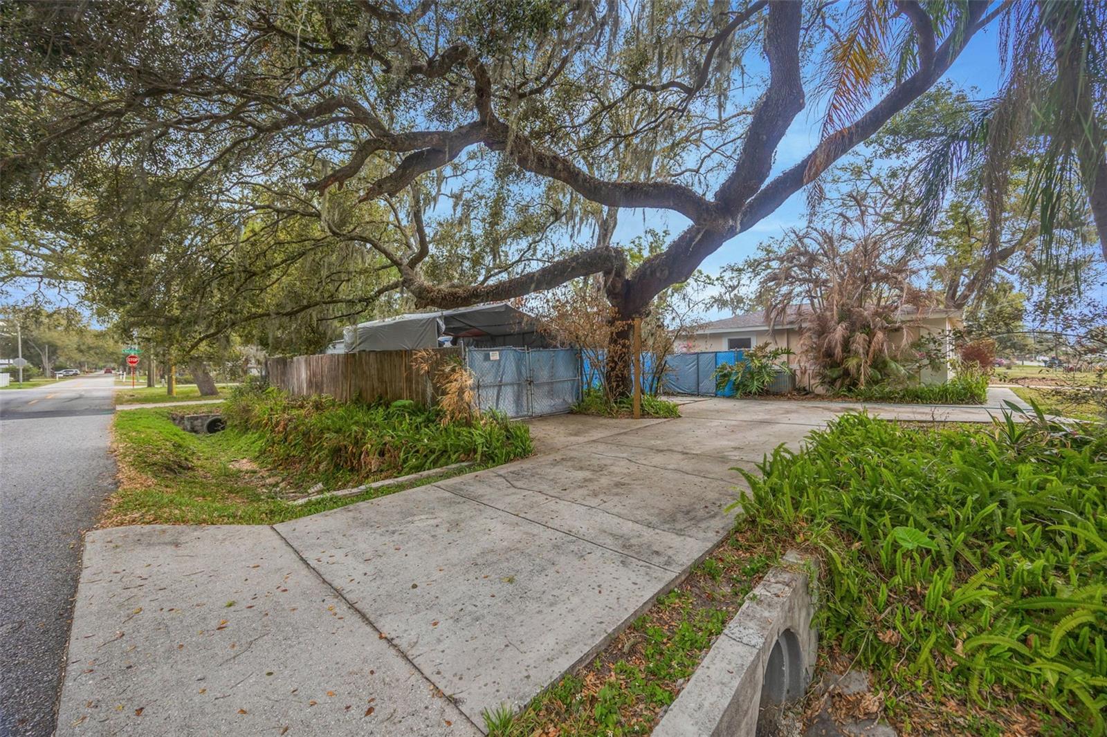 Image 36 of 37 For 1201 Palm Drive