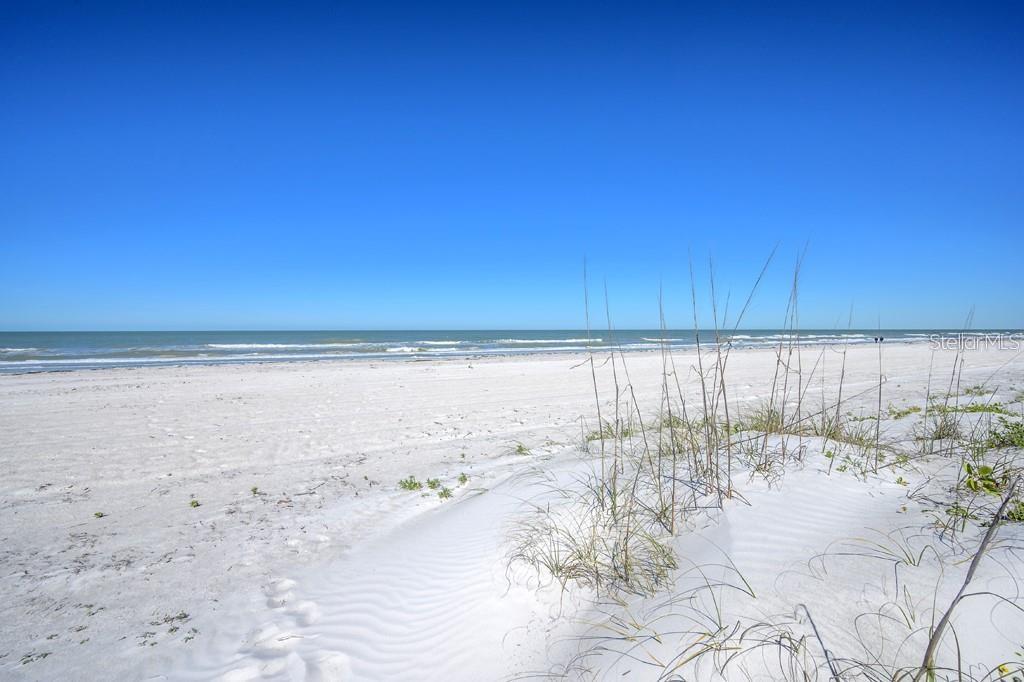 Image 19 of 44 For 3100 Gulf Boulevard 334