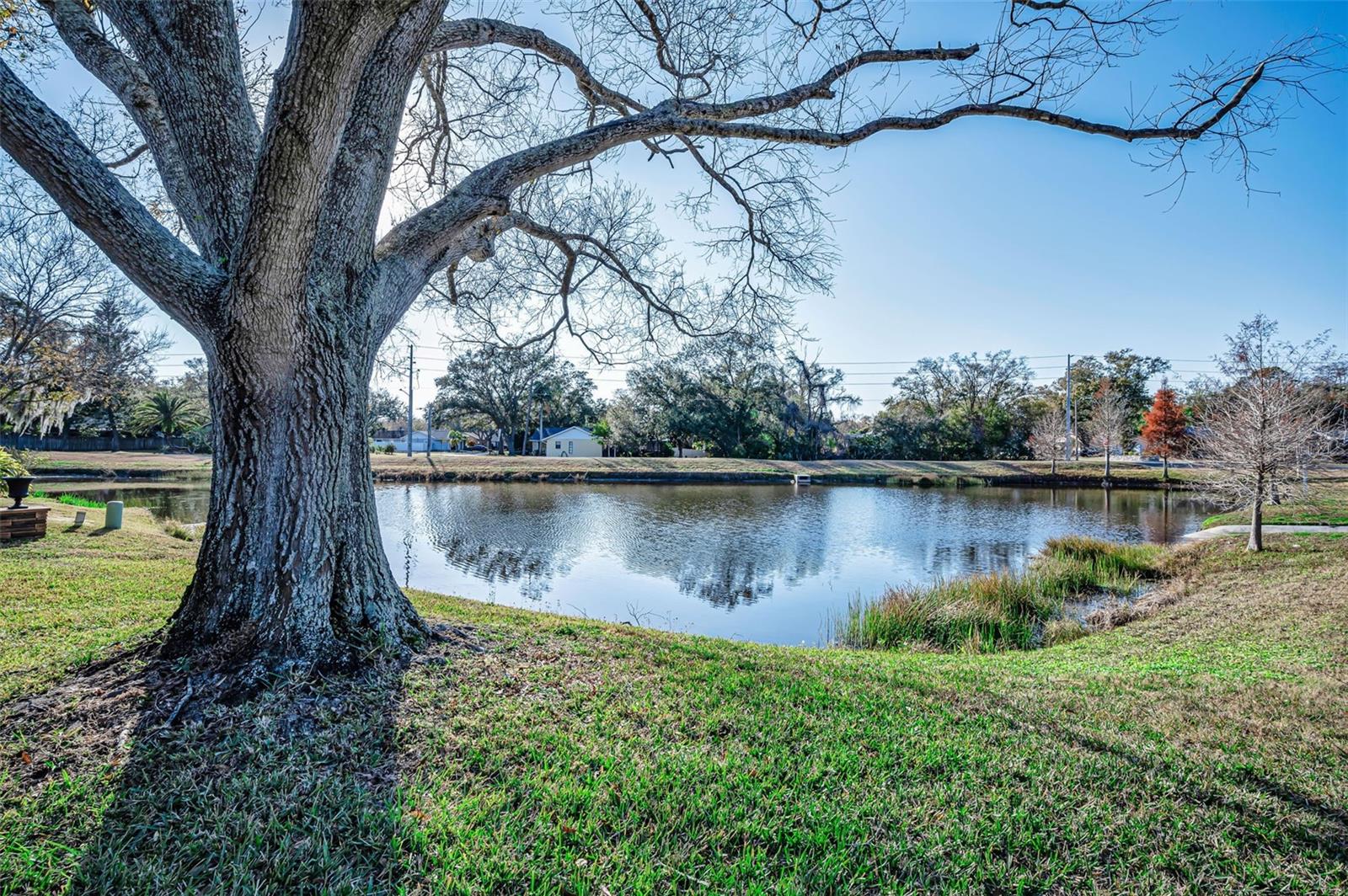 Image 31 of 100 For 3200 Mcmath Drive